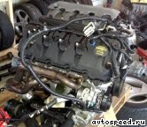  FORD 5.0l. Coyote V8:  2