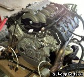  FORD 5.0l. Coyote V8:  3
