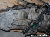 ���� VOLKSWAGEN (VW) Passat (3B2), Santana, EBU, 5HP19: ���� �12