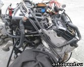 Двигатель BMW M52B20Tu (E46, E39, E36(Z3)): фото №4