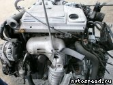 ��������� TOYOTA 1MZ-FE (MCR40W): ���� �6