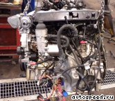 Двигатель BMW 30 6D5 (M57): фото №2
