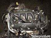 ��������� FORD AZBA: ���� �6