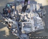 �������� HONDA Odyssey (RB1): ���� �1