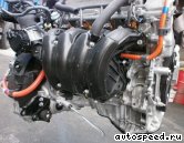 ��������� TOYOTA 2AZ-FXE: ���� �11