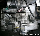 ���� NISSAN Expert (VEW11): ���� �4