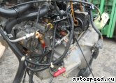 ���� HONDA Odyssey (RA5): ���� �2