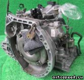 �������� NISSAN Avenir, Prairie, Liberty (RM12), Primera (P12), Wingroad (Y12): ���� �1