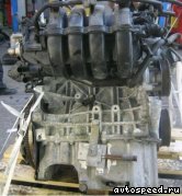��������� VOLKSWAGEN (VW) BLF: ���� �2