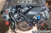  AUDI APS:  8