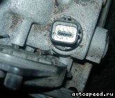 ���� NISSAN Teana (J31): ���� �9