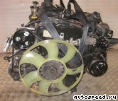 ��������� FORD D2FA, D2FB, D2FE: ���� �6