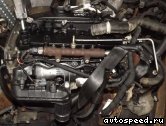��������� FORD P8FA, P8FB, QVFA, QWFA: ���� �3