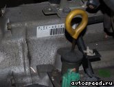 ���� HONDA Legend: ���� �2