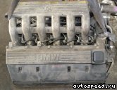 Двигатель BMW M51D25: фото №5