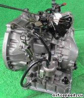 �������� NISSAN Prairie (M12),Primera (M12), Wingroad (Y11): ���� �5