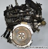 ��������� VOLKSWAGEN (VW) AGU, ARX, AUM, APH, AVC, AWU, AWV, BAE, BKF, AQA, ARZ, AWD: ���� �12