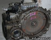 ���� VOLKSWAGEN (VW) Bora, Golf, Jetta (FDA,EPA,ELD, ECK): ���� �1