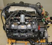 Двигатель BMW N62B44 (E53): фото №1