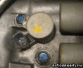 �������� HONDA Odyssey (RB1), MLPA: ���� �10