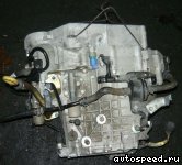 ���� HONDA Elysion (RR1): ���� �2