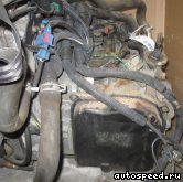 ���� PEUGEOT 206 (NFU): ���� �3