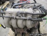 ��������� VOLKSWAGEN (VW) GZ: ���� �3