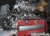 ��������� HONDA H22A (CL1): ���� �6