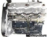 ��������� KIA D4BH TDI (21101-42U00): ���� �4