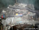 ���� PEUGEOT 307 (RFN): ���� �3
