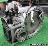 ���� AUDI A3 (8L), ELS, ECK: ���� �3