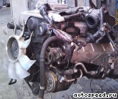 ��������� NISSAN RB25DE (C35), NEO: ���� �6