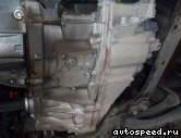 �������� TOYOTA Estima (AHR20W): ���� �6