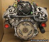  AUDI ARS, ASG, AWN, BAS:  4