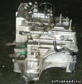 ���� HONDA Accord Wagon (CF9, CF6, CH9): ���� �15