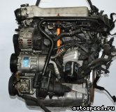 ��������� VOLKSWAGEN (VW) AGU, ARX, AUM, APH, AVC, AWU, AWV, BAE, BKF, AQA, ARZ, AWD: ���� �10