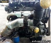 ��������� HYUNDAI D4CB (174hp): ���� �2