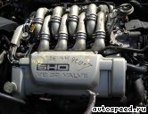 ��������� FORD 3,4l. V8 SHO: ���� �1