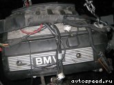Двигатель BMW M52B25 (E36, E39): фото №13