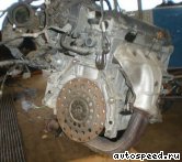 ��������� HONDA B20Z1: ���� �4