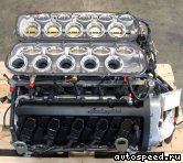 ��������� LAMBORGHINI Gallardo 5.0L V10: ���� �4