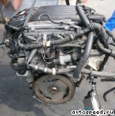 ��������� PORSCHE M02.2Y Cayenne (955), BFD: ���� �3