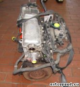  FIAT 188 A4.000 (188A4.000):  3