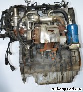 ��������� HYUNDAI D4EB: ���� �7
