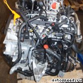 ��������� VOLKSWAGEN (VW) CECA, BJL: ���� �2