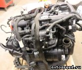 ��������� VOLKSWAGEN (VW) BLG, CAVB: ���� �1