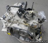 �������� NISSAN Primera (P11), Sunny (B15), Bluebird: ���� �6