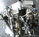 �������� HONDA Logo (GA3), Capa (GA4): ���� �8