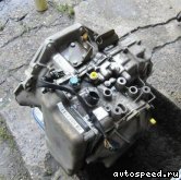 ���� MERCEDES BENZ Vito (638.234, 638.230), 1019000022: ���� �6