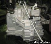 ���� VOLKSWAGEN (VW) Polo, Derby (KGG): ���� �5